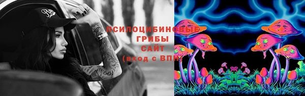 spice Богданович