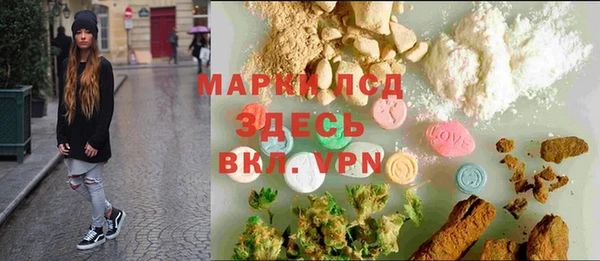spice Богданович
