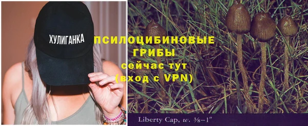 кокаин Богородицк