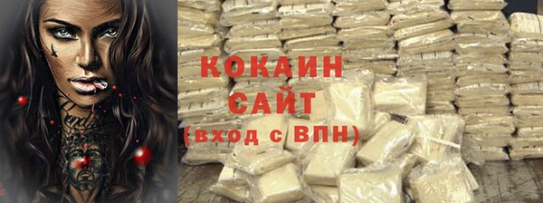 spice Богданович
