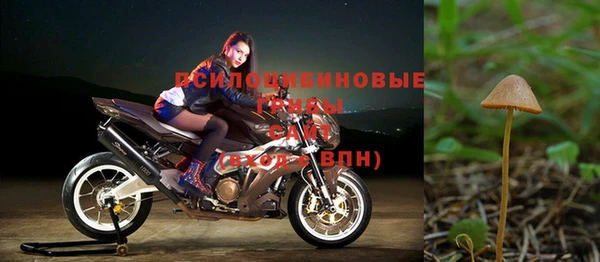 кокаин Богородицк